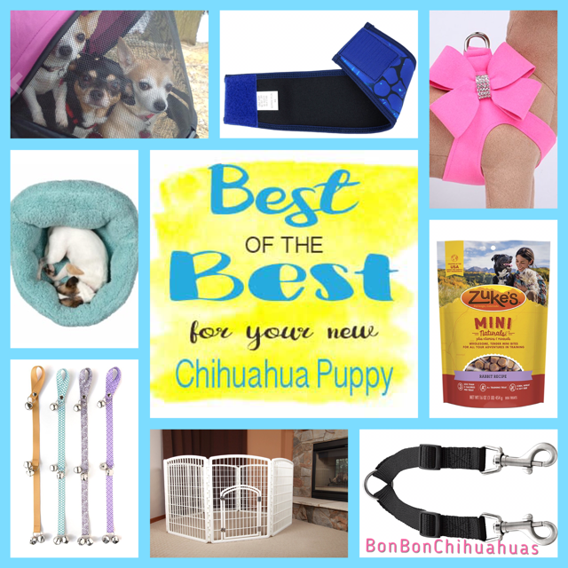 what to buy for chihuahua puppy