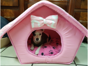 best pink soft dog house