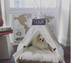 best teepee dog bed