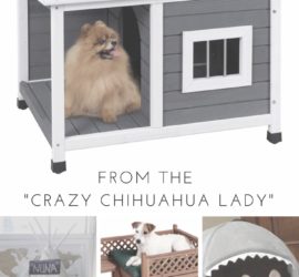 best of the best dog houses on Amazon