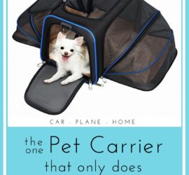 expandable best airline pet carrier for airplane approved