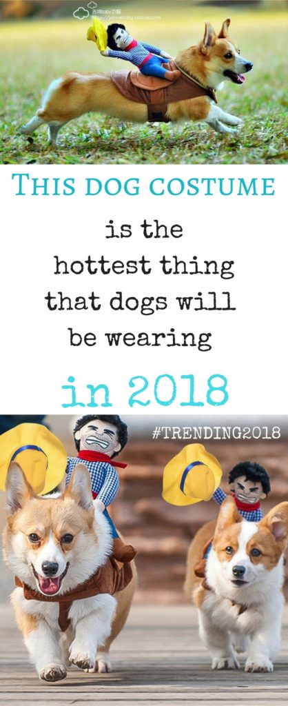 trending 2018 dog products
