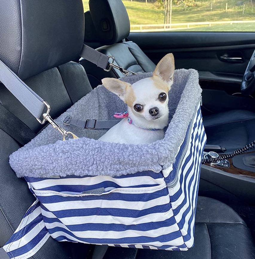 cute chihuahua sitting in a dog carseat is a great gift