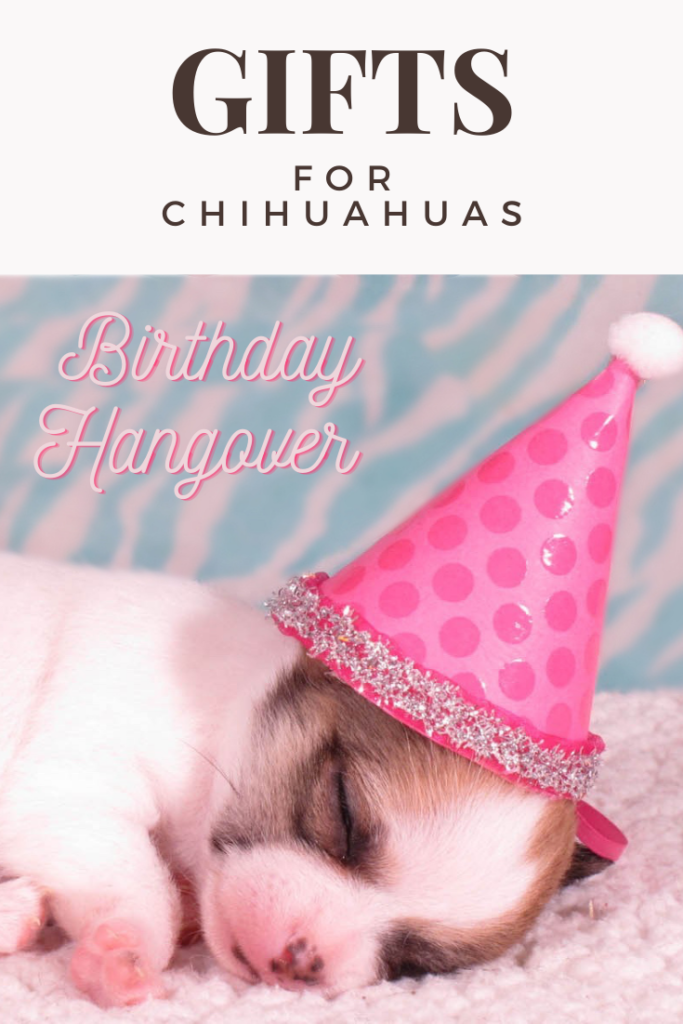 gifts for chihuahuas sleeping puppy with birthday hat